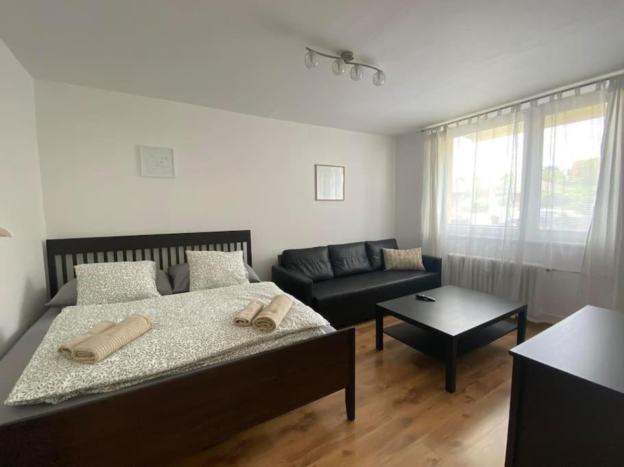 Apartman Ve Valticich Lägenhet Valtice Exteriör bild